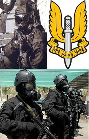 ﻿About the SAS Regiment